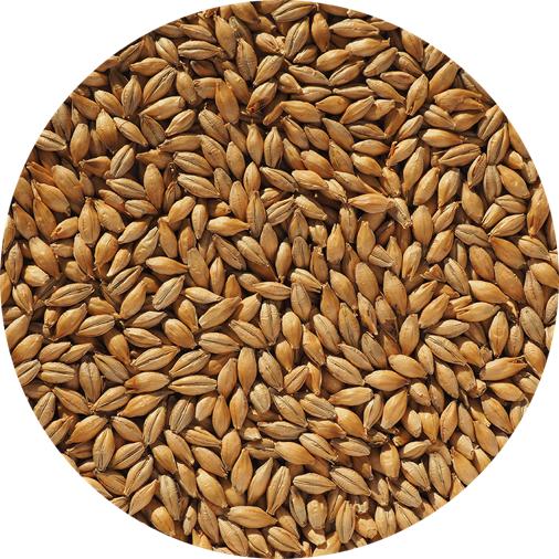 Finest Maris Otter - Crisp