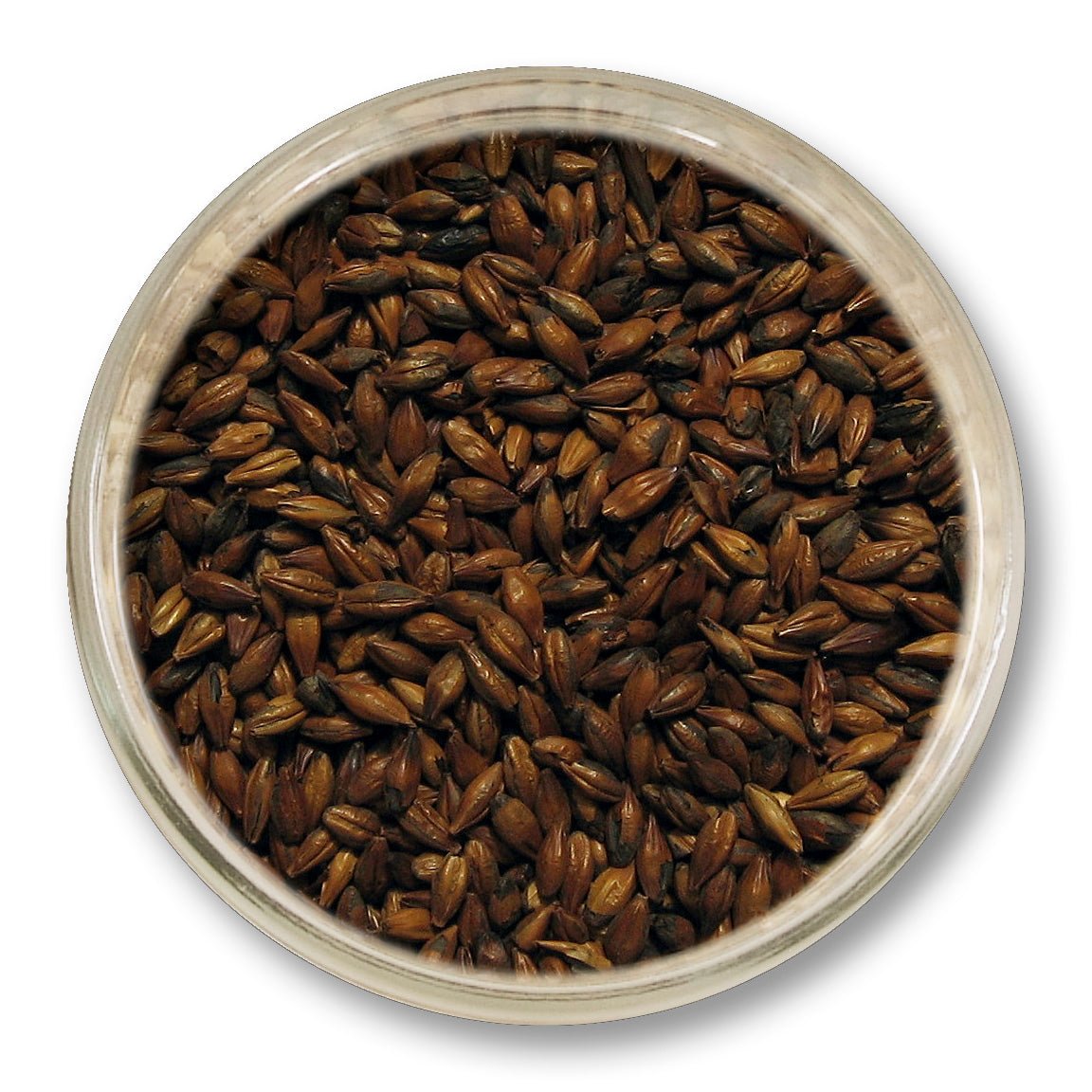 Coffee Malt