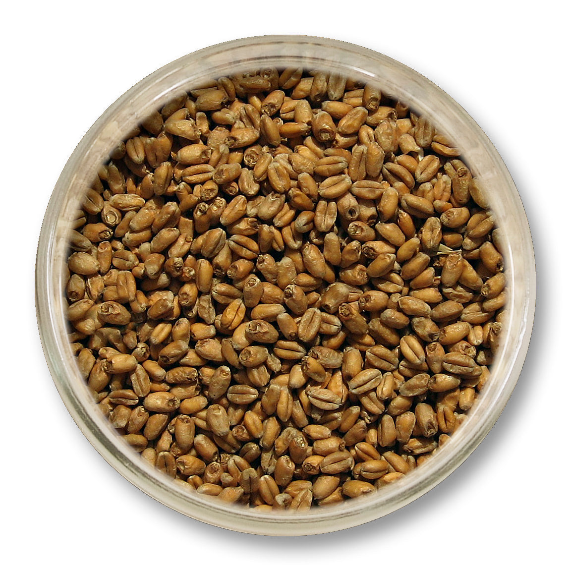 Wheat - Viking