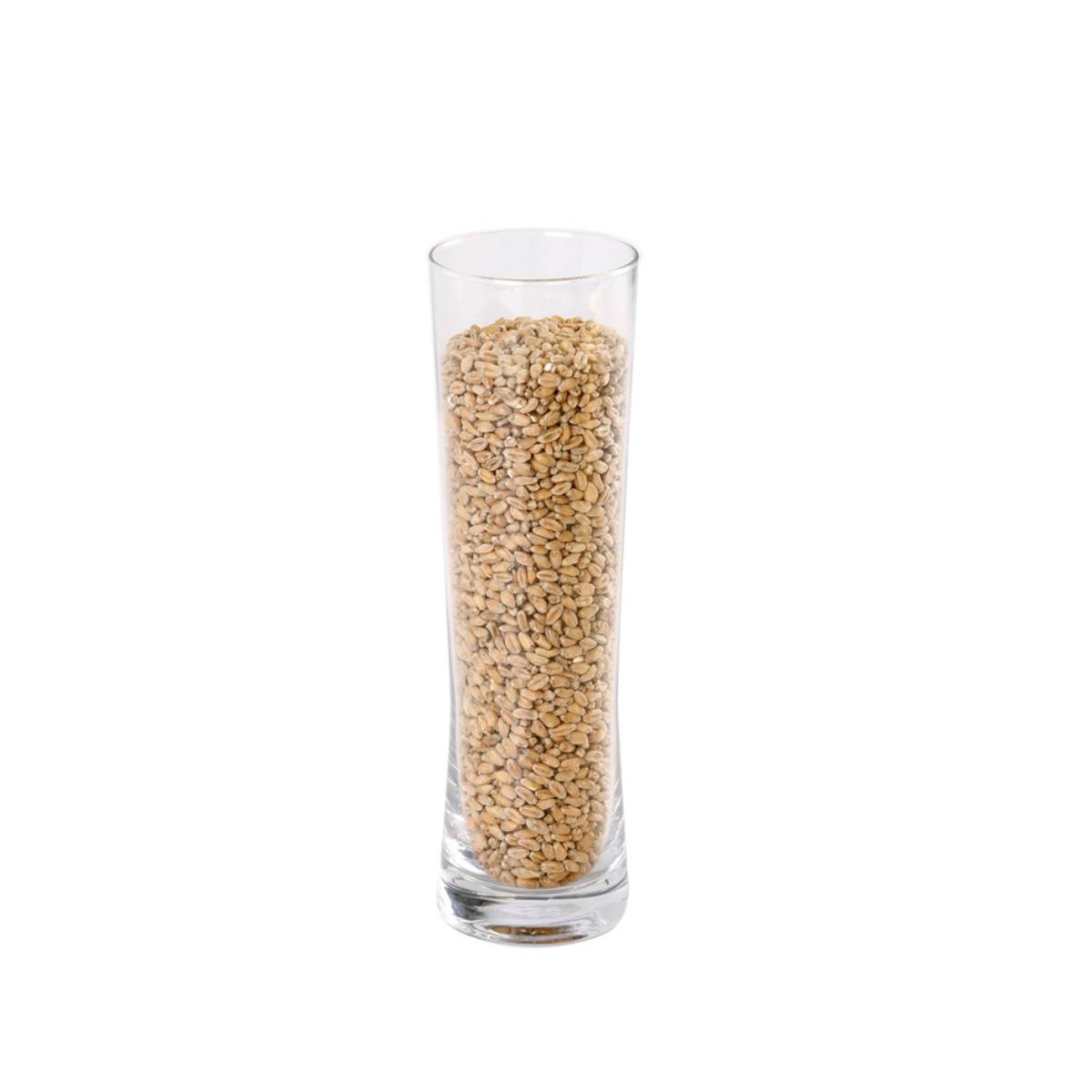 Wheat Light - IREKS